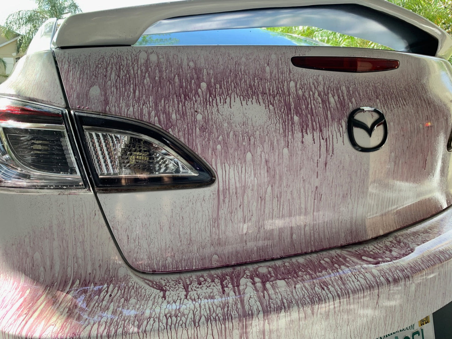 Vonixx Izer Iron & Fallout Remover 101.4 fl oz (3L)